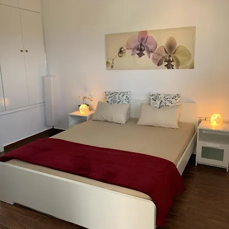Swisshaus Mit Meerblick 公寓 尼尔斯吉尼